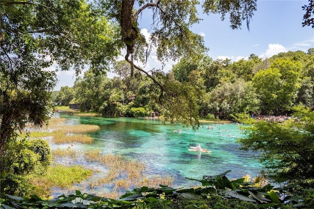 SW 202nd Ct, Dunnellon, FL 34431