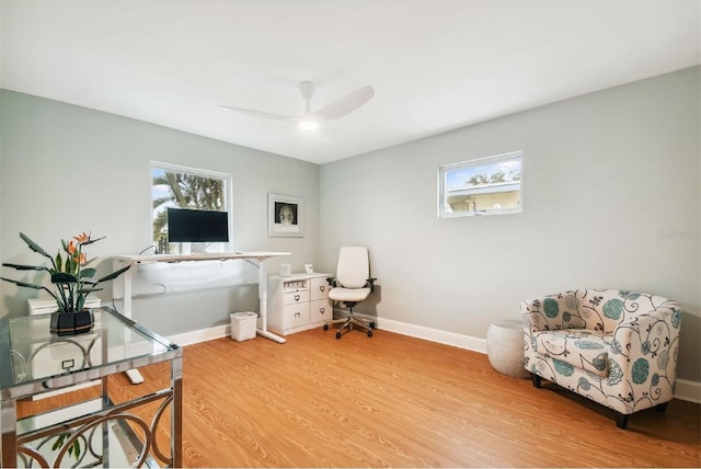 1427 40th Ave NE, Saint Petersburg, FL 33703 - photo 25