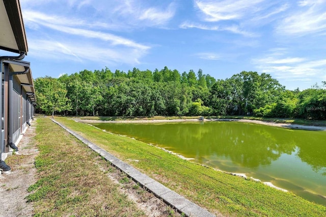 10217 Westpark Preserve Blvd, Tampa, FL 33625 - photo 12