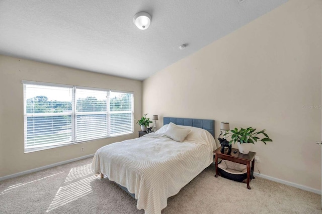10217 Westpark Preserve Blvd, Tampa, FL 33625 - photo 13