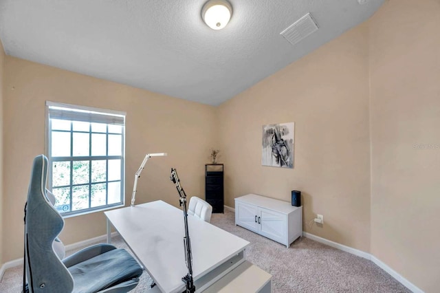 10217 Westpark Preserve Blvd, Tampa, FL 33625 - photo 19