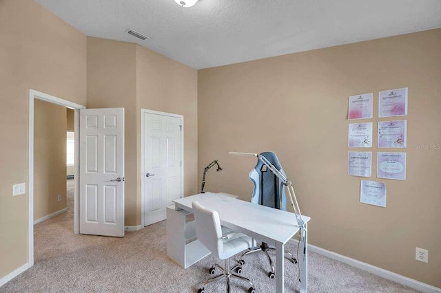 10217 Westpark Preserve Blvd, Tampa, FL 33625 - photo 20