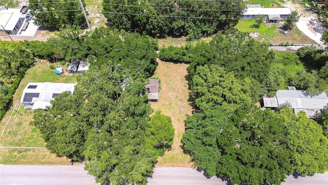 38839 Miller Ave, Zephyrhills, FL 33542 - photo 3