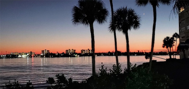 4725 Cove Cir Unit 908, Saint Petersburg, FL 33708 - water view