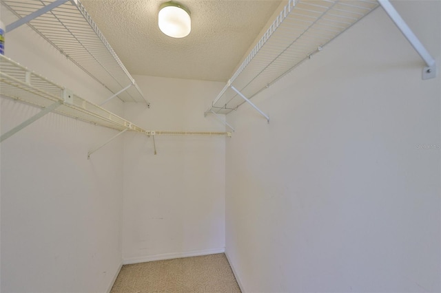 1904 Canterbury Ln Unit 18, Sun City Center, FL 33573 - spacious closet featuring light colored carpet