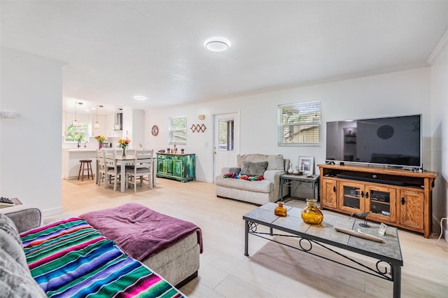 1400 Tarpon Woods Blvd Unit E4, Palm Harbor, FL 34685 - living area with crown molding
