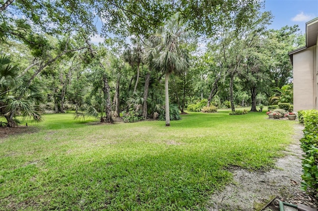 1400 Tarpon Woods Blvd Unit E4, Palm Harbor, FL 34685 - view of grassy yard