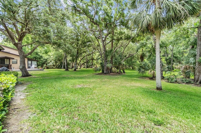 1400 Tarpon Woods Blvd Unit E4, Palm Harbor, FL 34685 - view of grassy yard