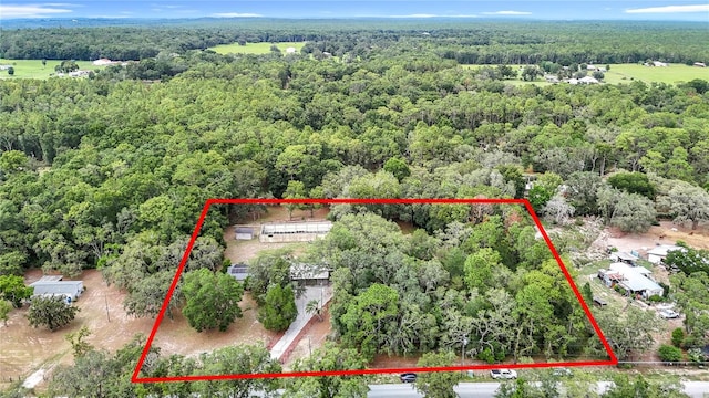 27315 Popiel Rd, Brooksville, FL 34602 - photo 2