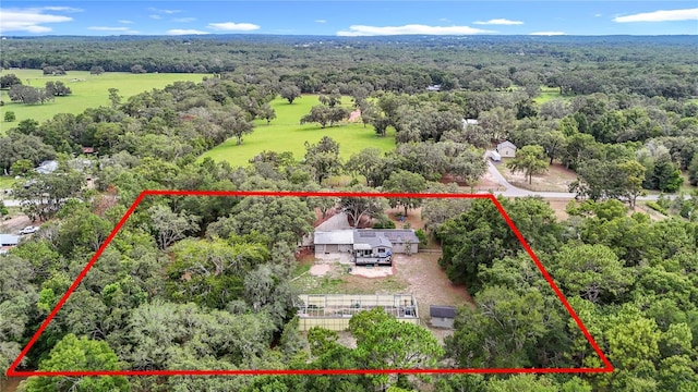 27315 Popiel Rd, Brooksville, FL 34602 - photo 4
