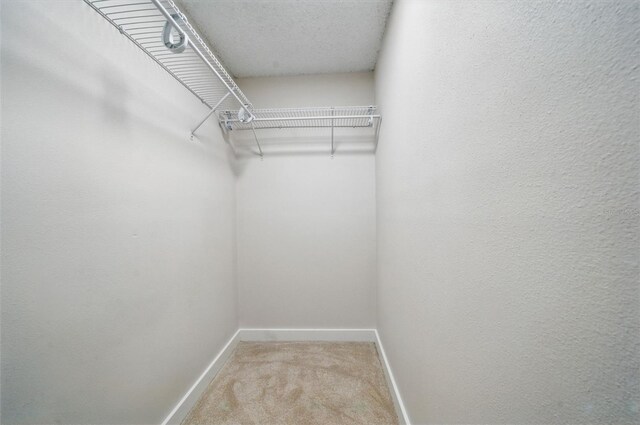 3004 Conifer Dr, Largo, FL 33771 - photo 23