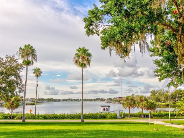 504 Riverside Dr Unit 504, Tarpon Springs, FL 34689 - water view