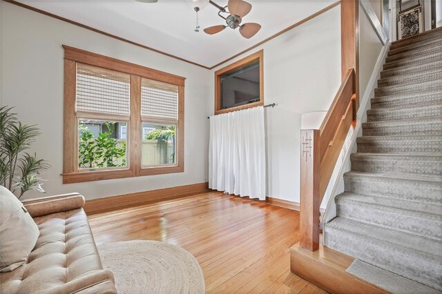 1005 Main St, Safety Harbor, FL 34695 - photo 36