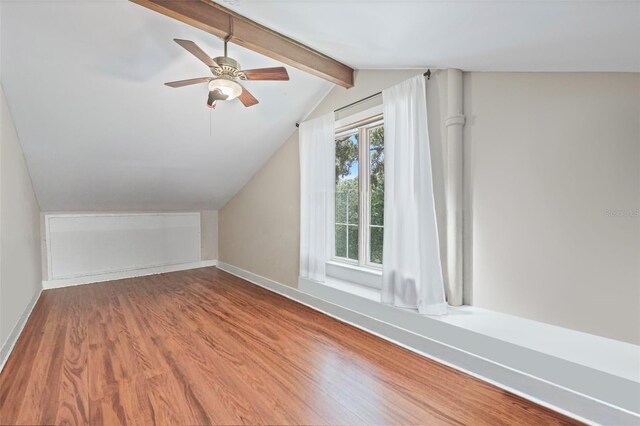 1005 Main St, Safety Harbor, FL 34695 - photo 45