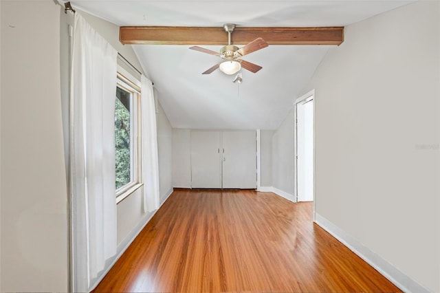 1005 Main St, Safety Harbor, FL 34695 - photo 46