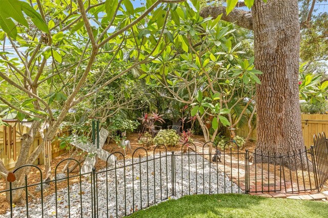 1005 Main St, Safety Harbor, FL 34695 - photo 54