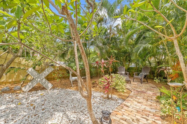 1005 Main St, Safety Harbor, FL 34695 - photo 55
