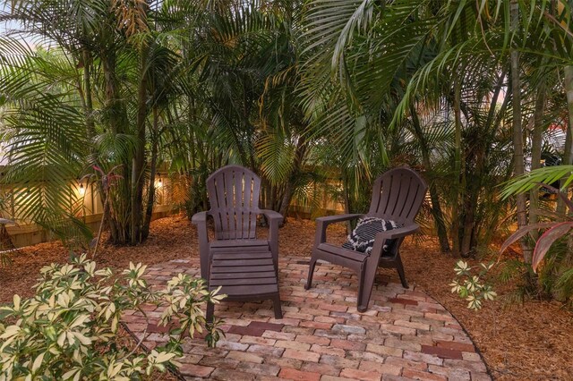 1005 Main St, Safety Harbor, FL 34695 - photo 64