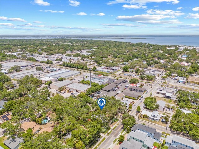 1005 Main St, Safety Harbor, FL 34695 - photo 68