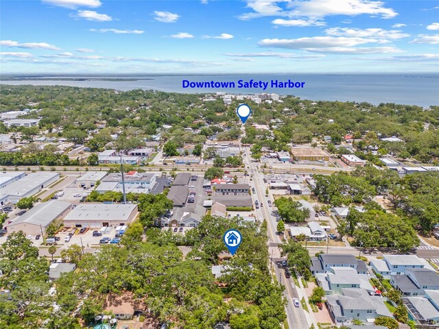 1005 Main St, Safety Harbor, FL 34695 - photo 69