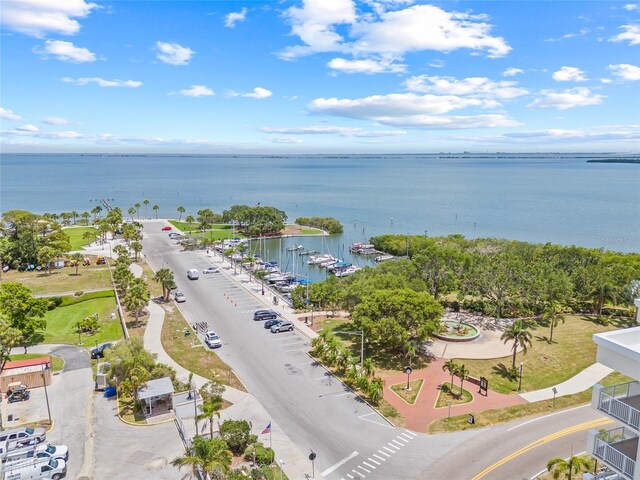 1005 Main St, Safety Harbor, FL 34695 - photo 72