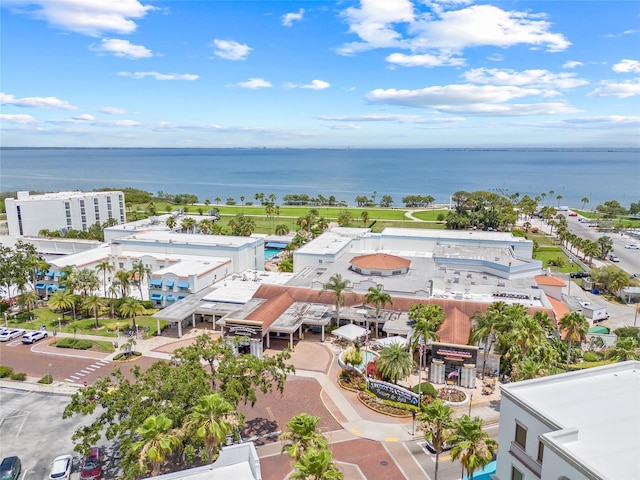 1005 Main St, Safety Harbor, FL 34695 - photo 74
