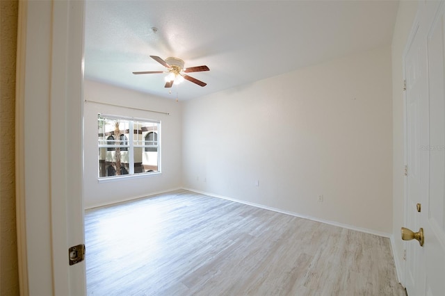 16431 Enclave Village Dr Unit 16431, Tampa, FL 33647 - photo 16