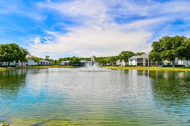 1109 Pine Ridge Cir W Unit C1, Tarpon Springs, FL 34688 - water view