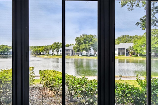 1109 Pine Ridge Cir W Unit C1, Tarpon Springs, FL 34688 - water view
