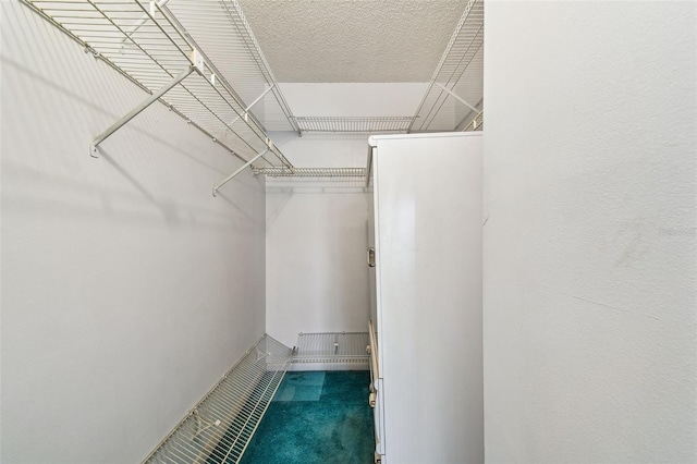 1109 Pine Ridge Cir W Unit C1, Tarpon Springs, FL 34688 - view of walk in closet