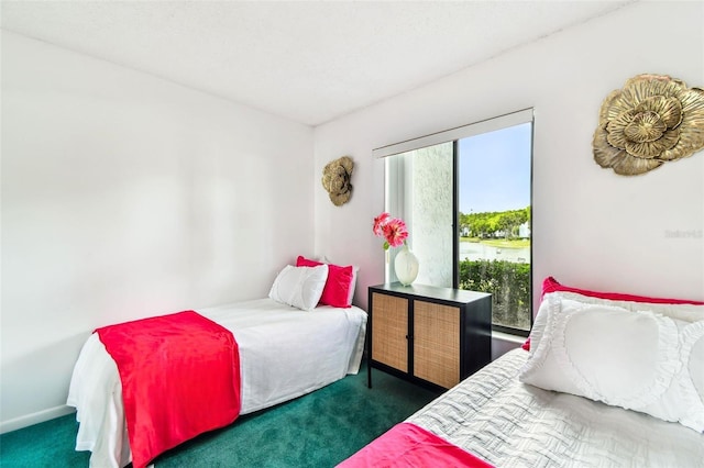 1109 Pine Ridge Cir W Unit C1, Tarpon Springs, FL 34688 - bedroom featuring carpet floors and baseboards