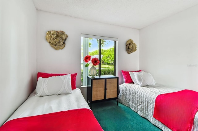1109 Pine Ridge Cir W Unit C1, Tarpon Springs, FL 34688 - bedroom with carpet flooring