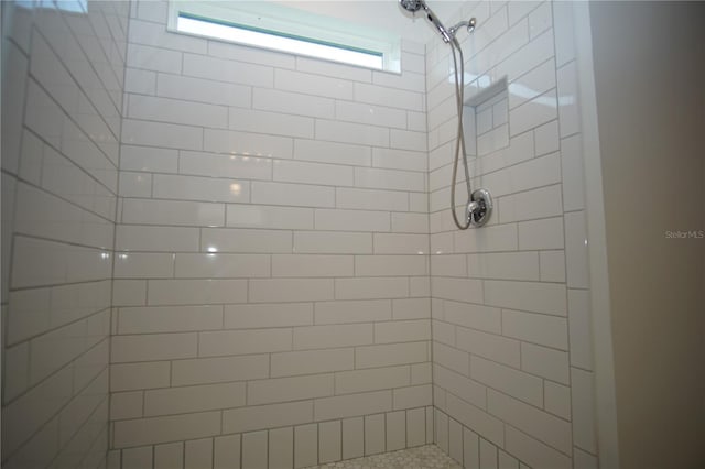 9512 Summers Cay Cir, Thonotosassa, FL 33592 - full bath featuring a tile shower