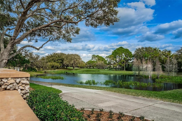 5205 Fairway One Dr, Valrico, FL 33596 - photo 29