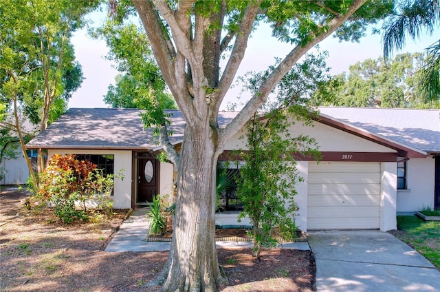 2031 Dover Ct, Oldsmar, FL 34677 - view of front of home with stucco siding, concrete driveway, a garage, and a shingled roof