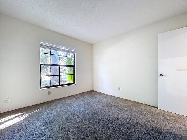 2031 Dover Ct, Oldsmar, FL 34677 - spare room with carpet flooring