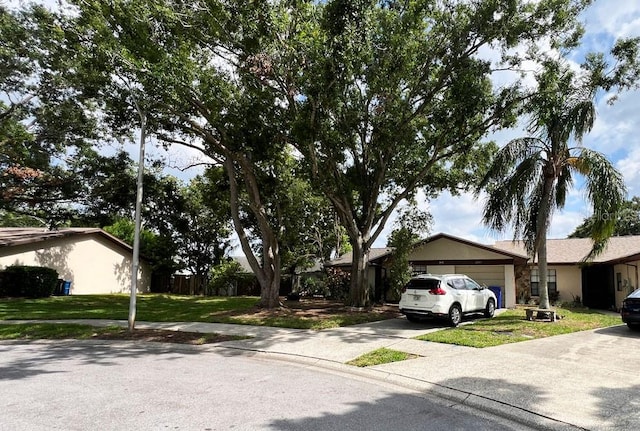 2031 Dover Ct, Oldsmar, FL 34677 - ranch-style home featuring a garage, concrete driveway, and a front yard