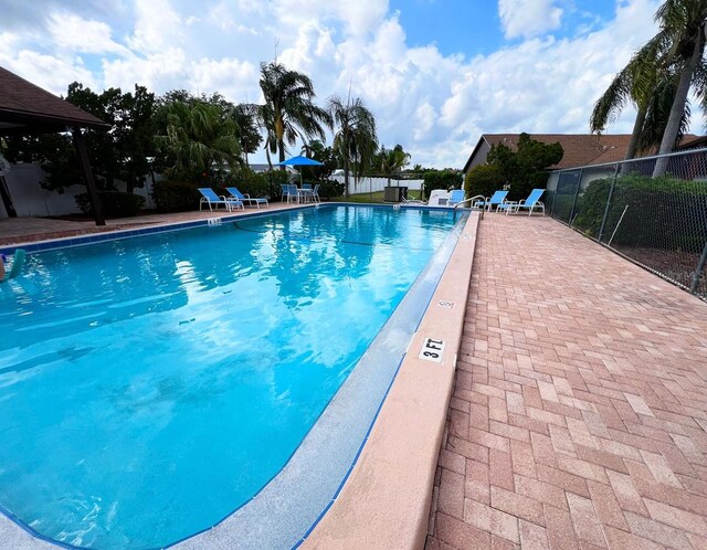 2031 Dover Ct, Oldsmar, FL 34677 - community pool with a patio area