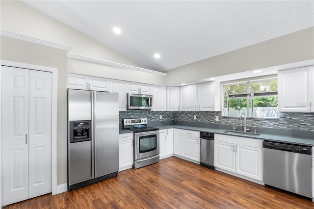 9047 Quail Creek Dr, Tampa, FL 33647 - photo 14