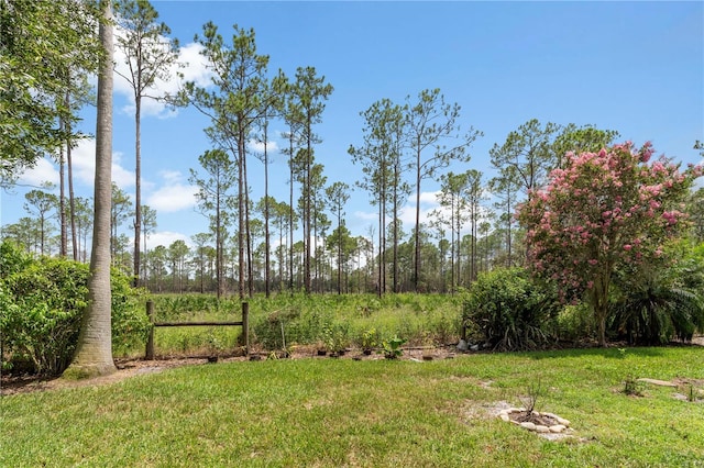 9047 Quail Creek Dr, Tampa, FL 33647 - photo 63