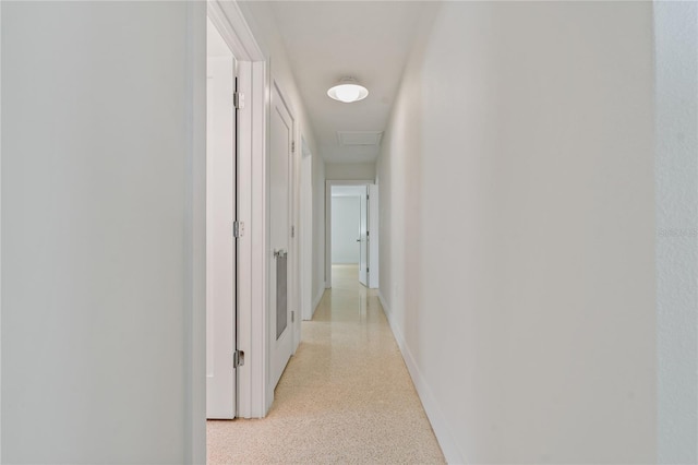 433 Pineapple St, Tarpon Springs, FL 34689 - corridor featuring dark speckled floor and baseboards