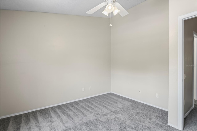 5532 Carrollwood Key Dr, Tampa, FL 33624 - photo 19