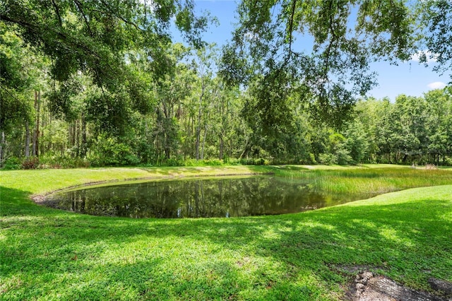 5532 Carrollwood Key Dr, Tampa, FL 33624 - photo 24