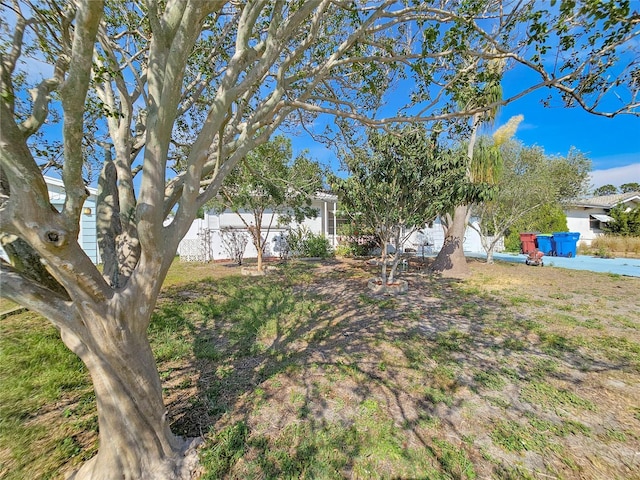 2066 High Ridge Dr, Clearwater, FL 33763 - view of yard