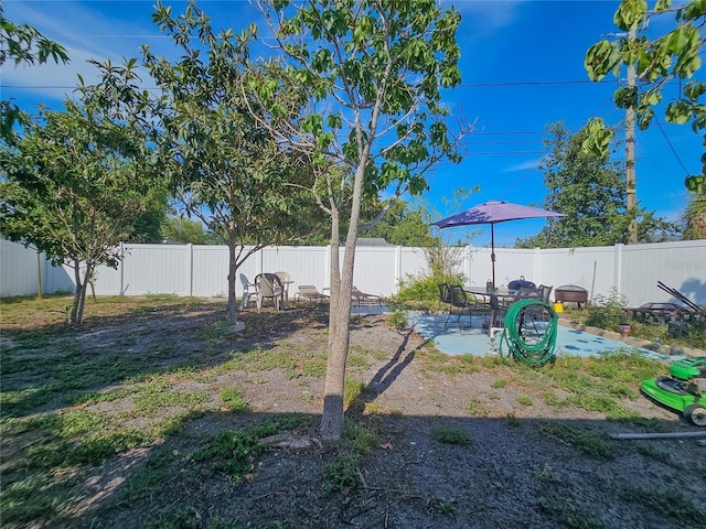 2066 High Ridge Dr, Clearwater, FL 33763 - fenced backyard with a patio