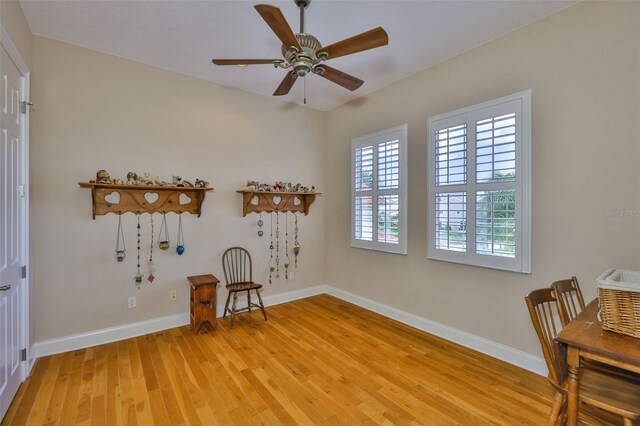 920 Symphony Isles Blvd, Apollo Beach, FL 33572 - photo 41