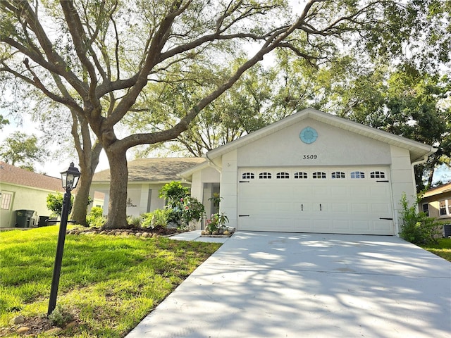 3509 Oak Lake Dr, Palm Harbor, FL 34684 - single story home with driveway, a garage, a front lawn, and stucco siding