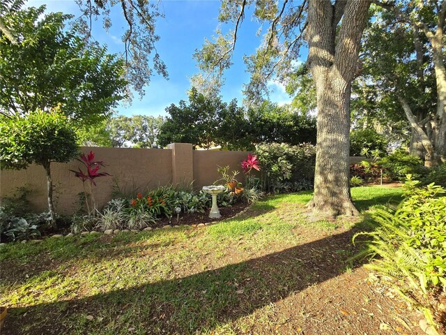 3509 Oak Lake Dr, Palm Harbor, FL 34684 - view of yard
