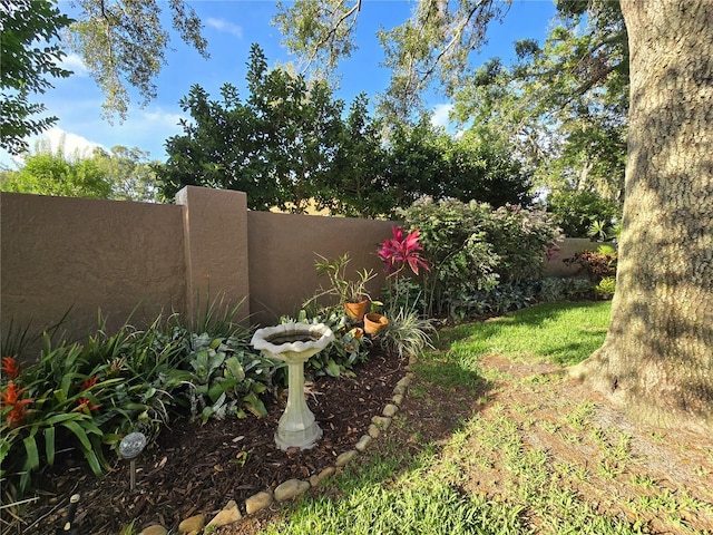 3509 Oak Lake Dr, Palm Harbor, FL 34684 - view of yard