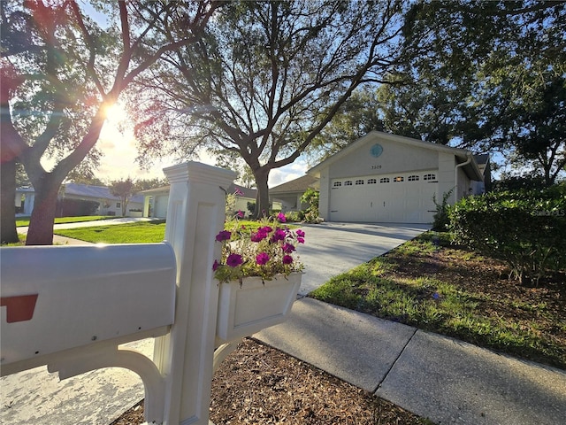 3509 Oak Lake Dr, Palm Harbor, FL 34684 - exterior view of driveway